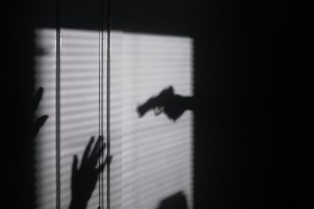 Salisbury MD Theft Crimes Lawyer